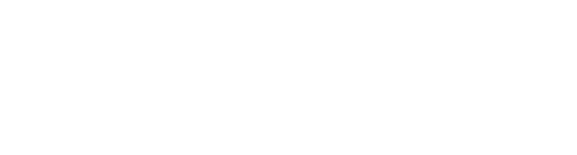 Villa Wanislas Logo